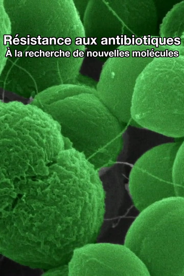 Résistance aux antibiotiques : À la recherche de nouvelles molécules