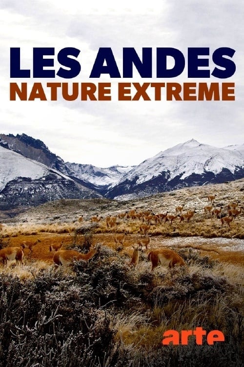 Les Andes, nature extrême