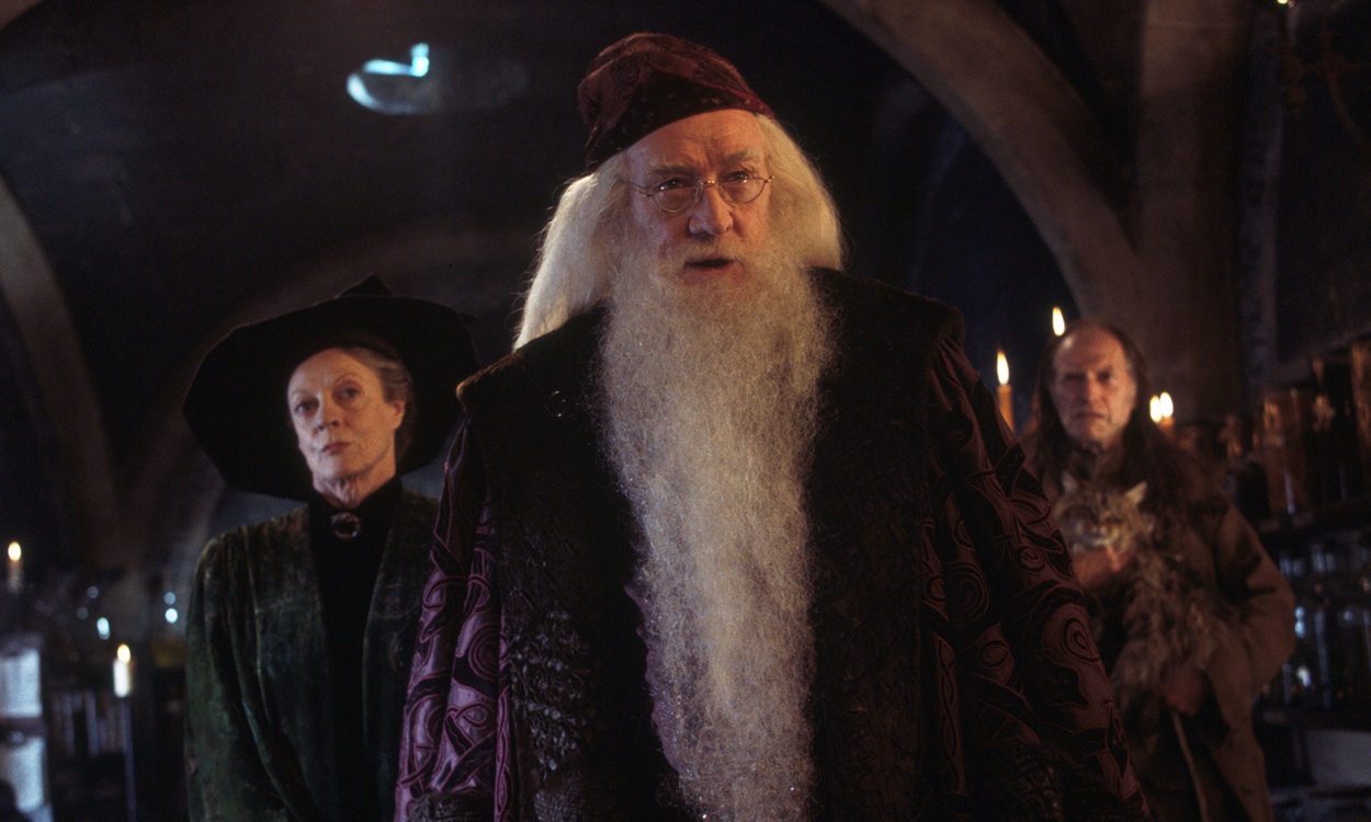 Série Harry Potter : les nouveaux visages de personnages majeurs sont officiellement connus !