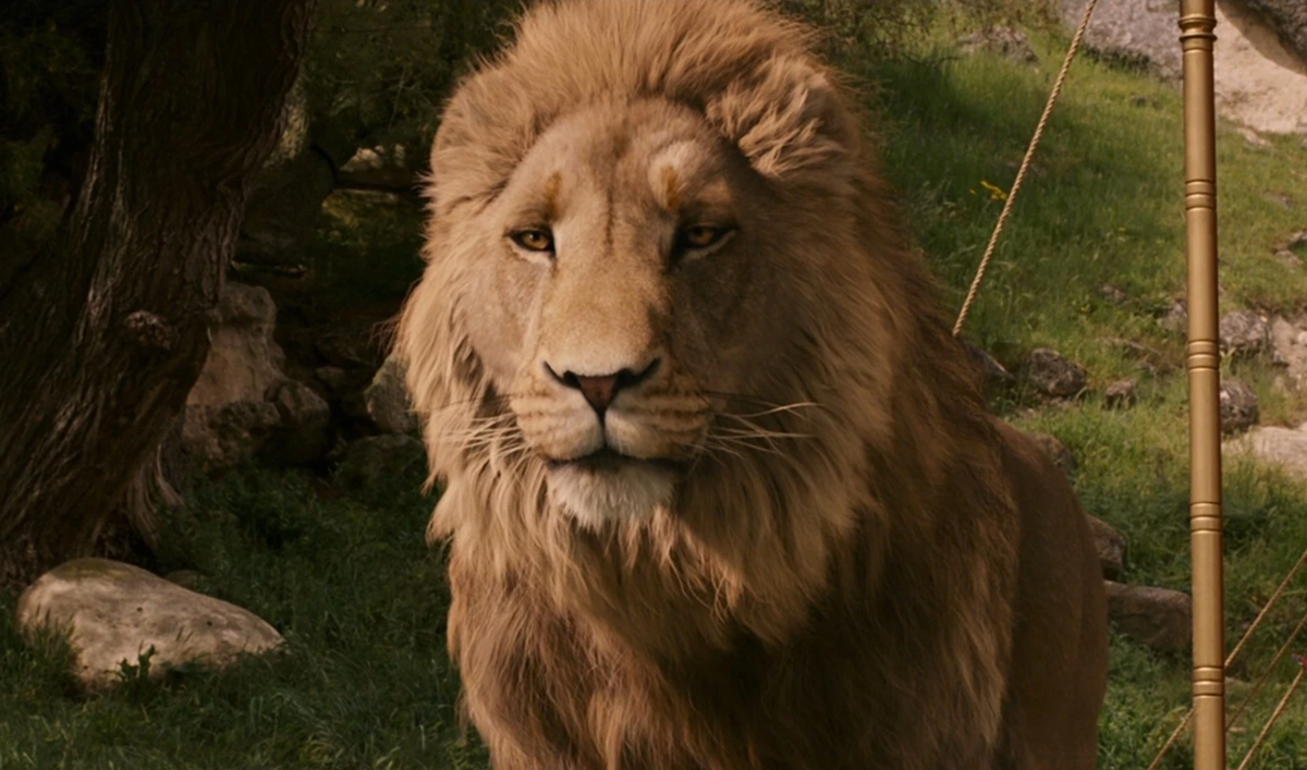 Greta Gerwig assemble un casting fou pour Le Monde de Narnia