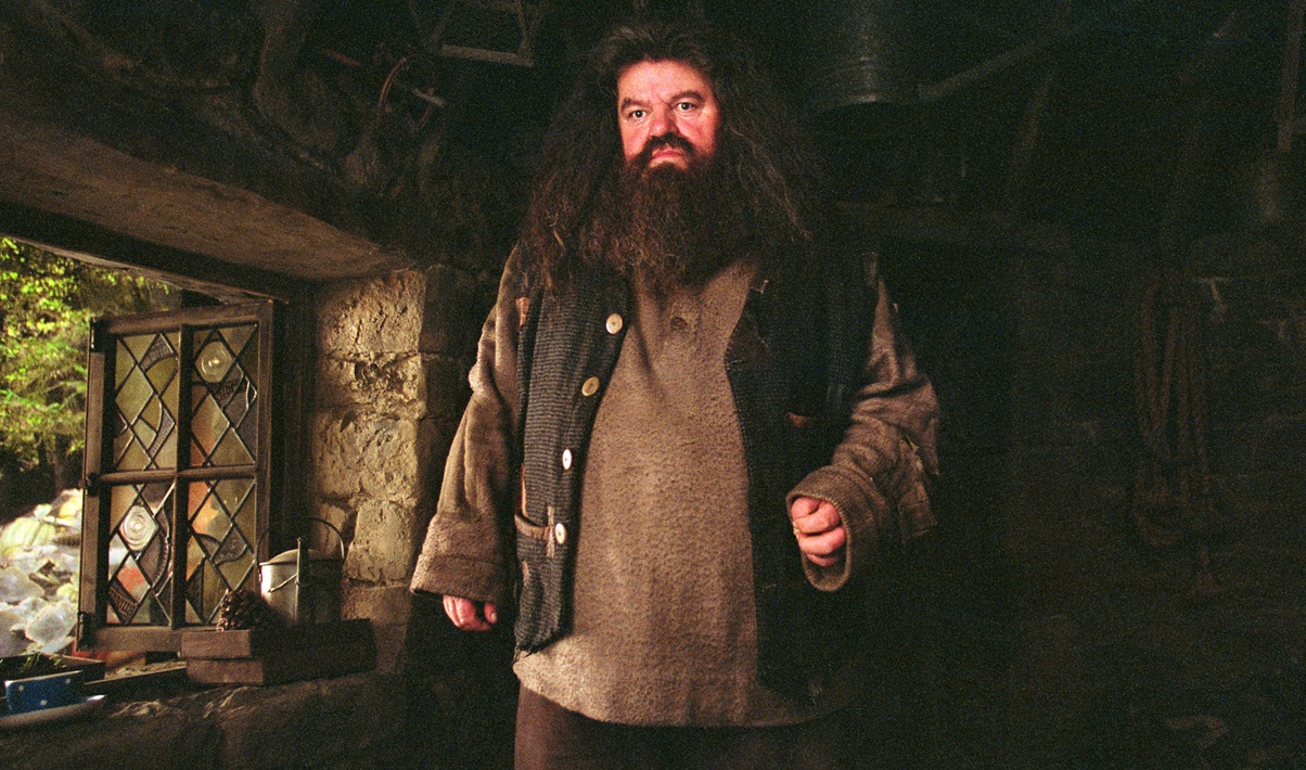 Série Harry Potter : le nouvel interprète d'Hagrid se confie sur sa vision du rôle