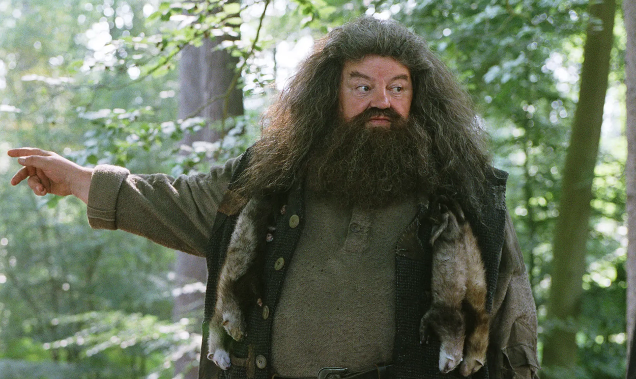 Harry Potter : voici à quoi ressemblera Hagrid dans la série HBO