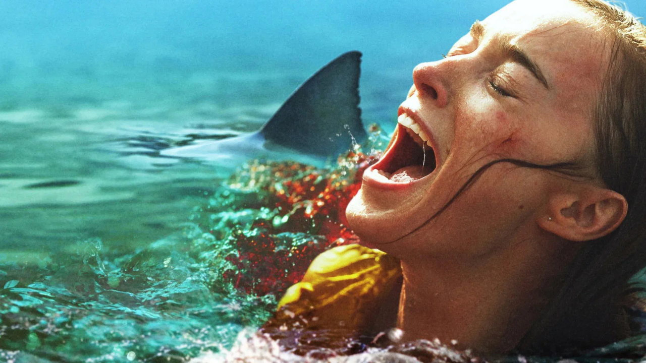 Nature prédatrice bientôt sur Netflix : c'est quoi ce film de requins avec une actrice de Bridgerton ?