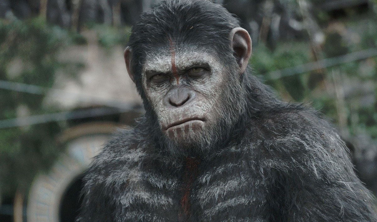 La Planète des singes : un nouveau film est en préparation avec un réalisateur de Marvel
