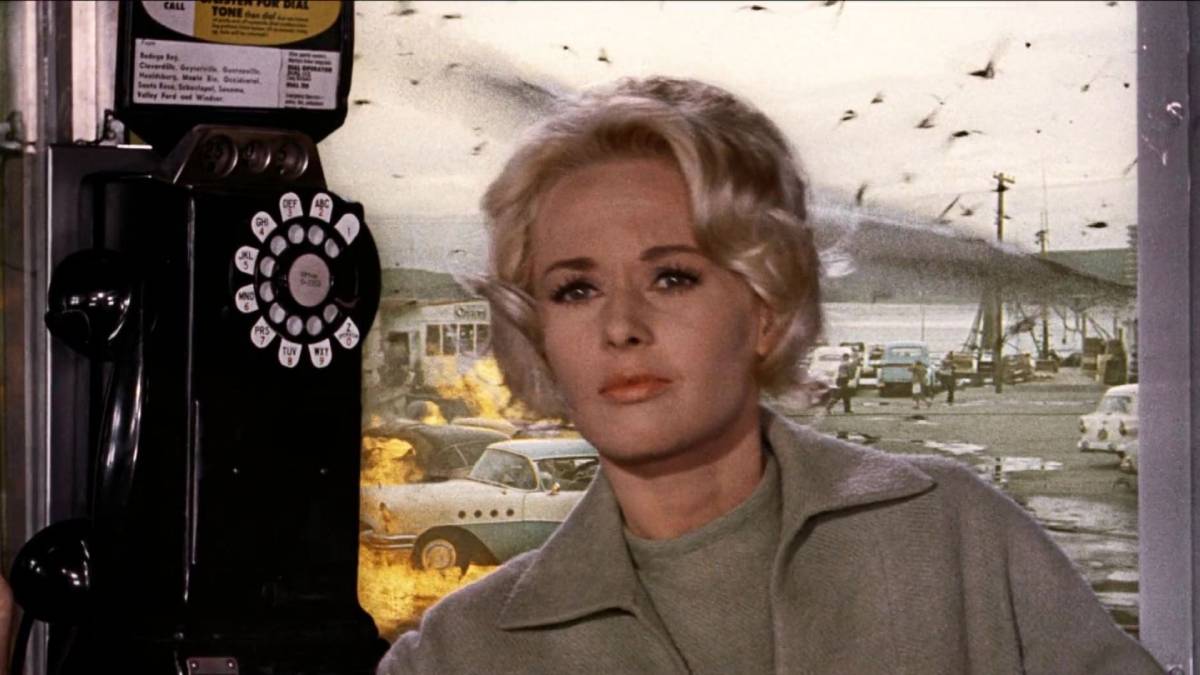Une star de Succession sera la tête d’affiche du remake télévisé Les Oiseaux d’Hitchcock