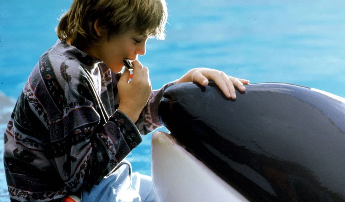 Sauvez Willy : une nouvelle version du film culte se prépare
